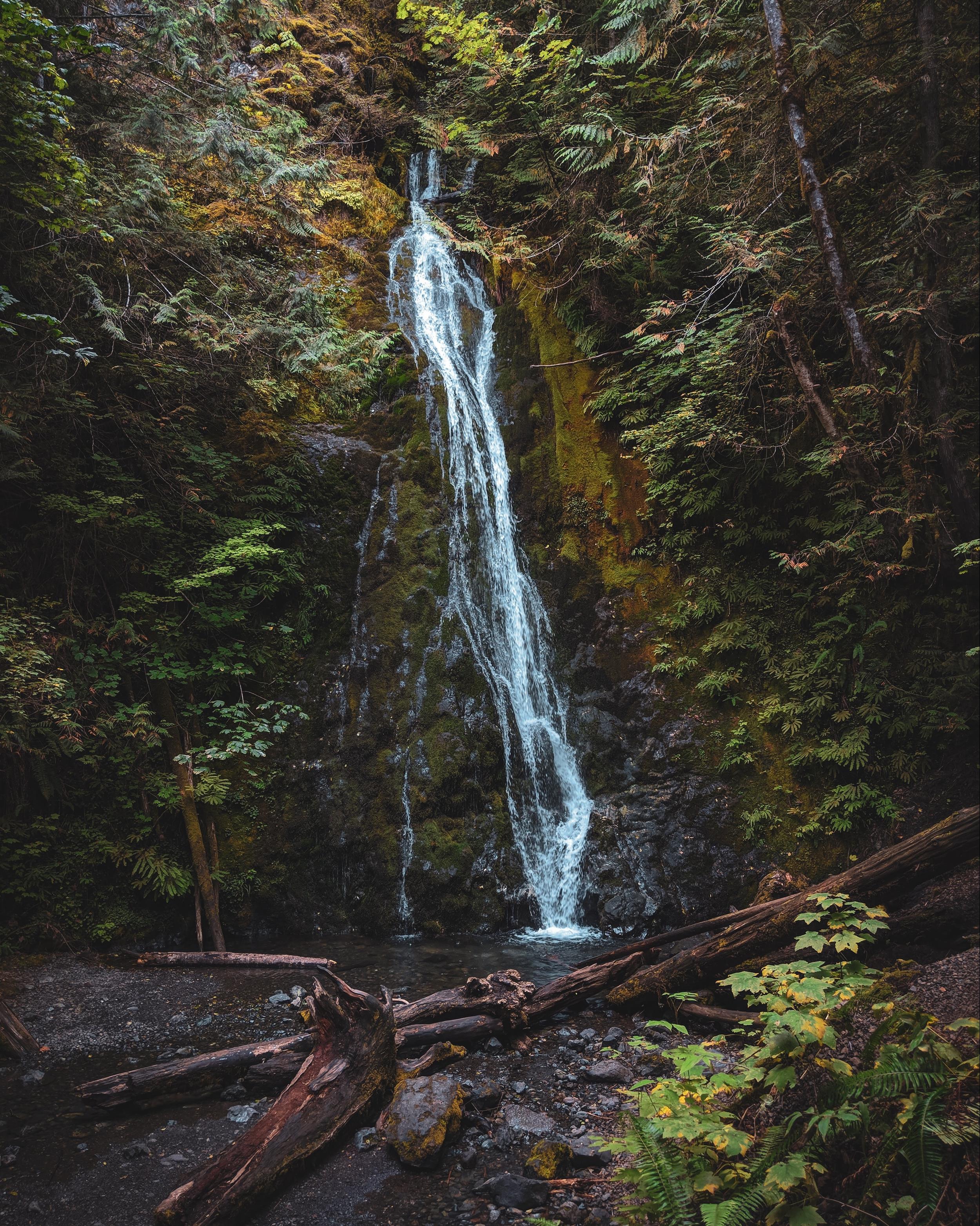 marymere falls hike